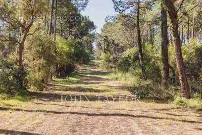 Maison à LEGE-CAP-FERRET
