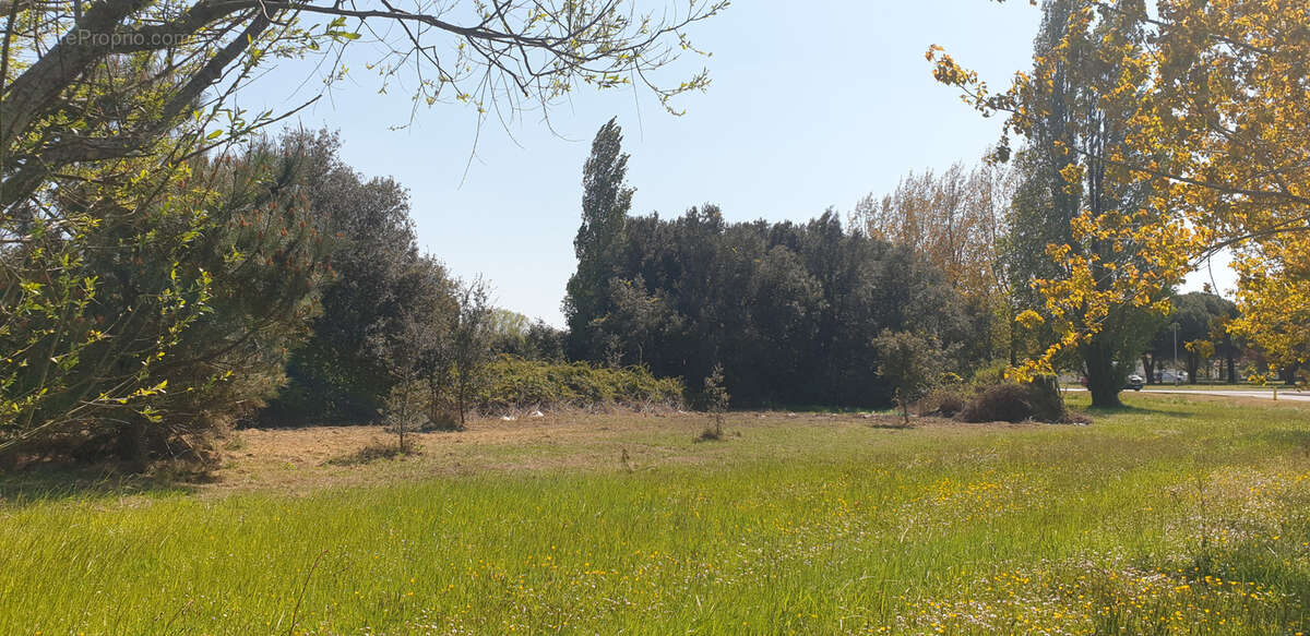 Terrain à LE GRAND-VILLAGE-PLAGE