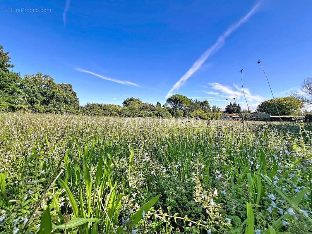 Terrain à CHATEAUNEUF-DE-GADAGNE
