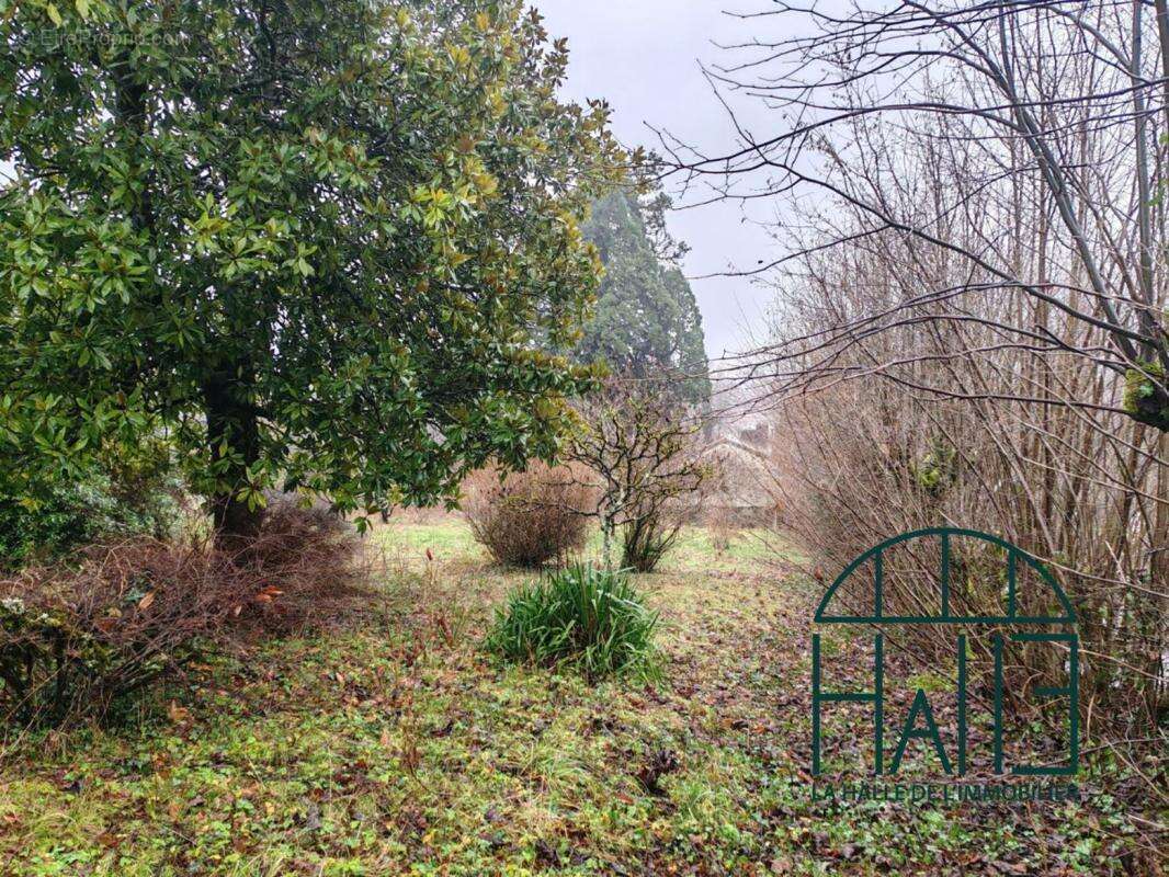 Terrain à CHALUS