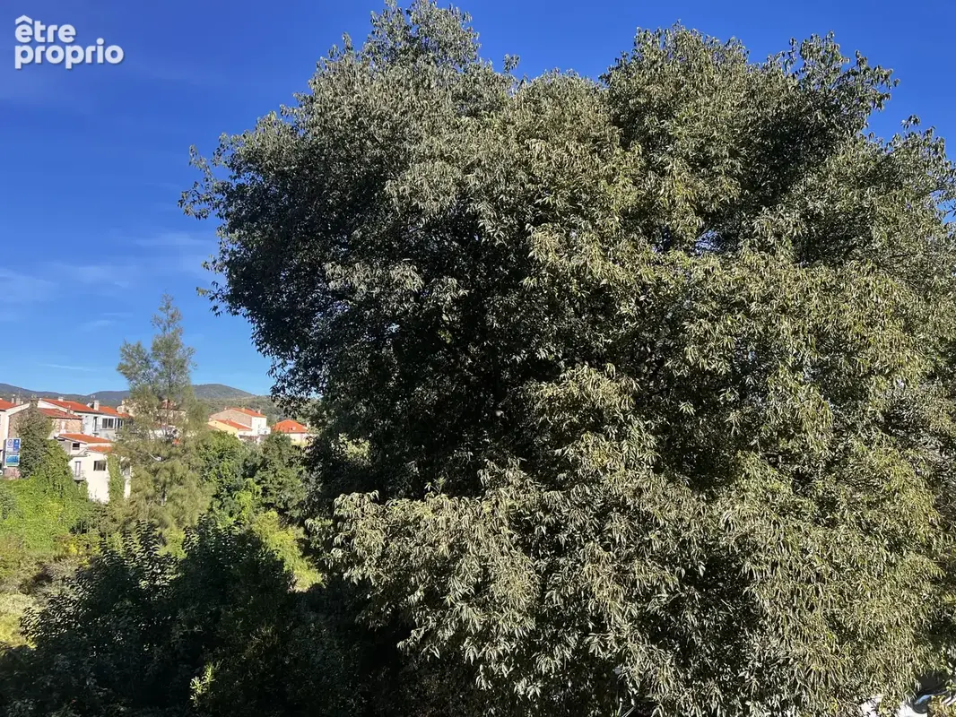 F2 bis avec balcon et vue dégagée à Céret - photo 11