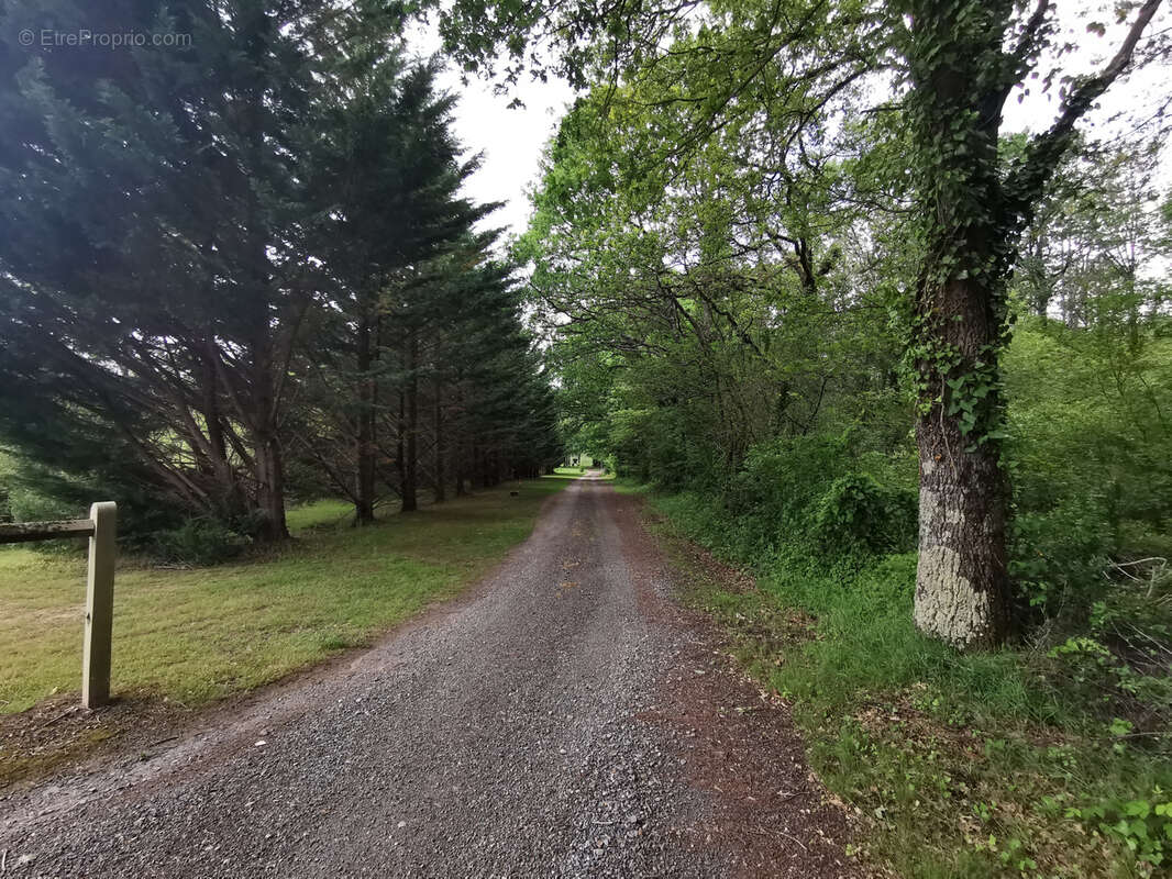 Belle propriété de 6.5ha avec deux étangs - photo 9