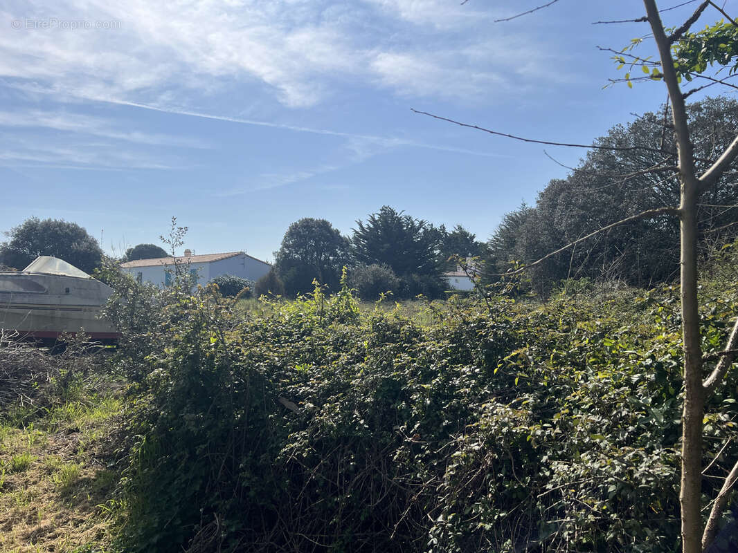 Terrain à L'ILE-D'YEU