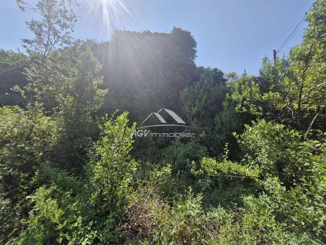 Terrain à SAINT-FLORENT-SUR-AUZONNET