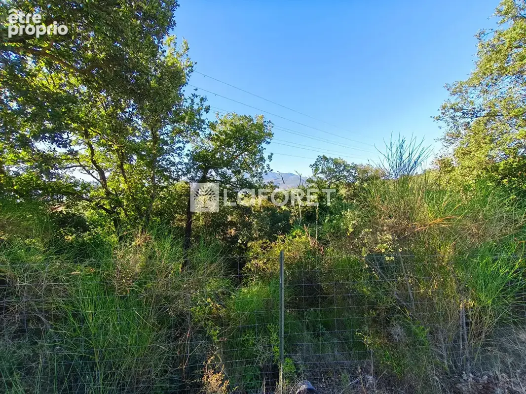 Terrain non constructible avec remise de 50 m² proche de Saint-Jean-Pla-de-Corts - photo 5