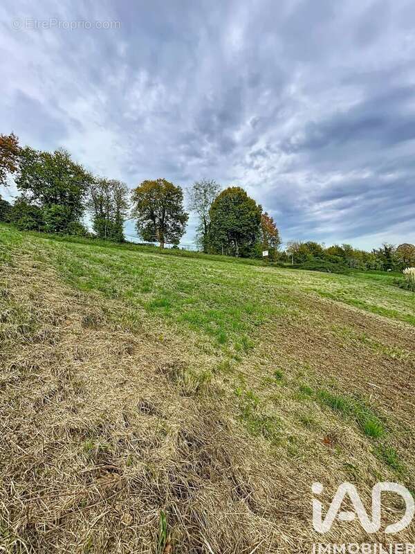 Photo 4 - Terrain à MONEIN
