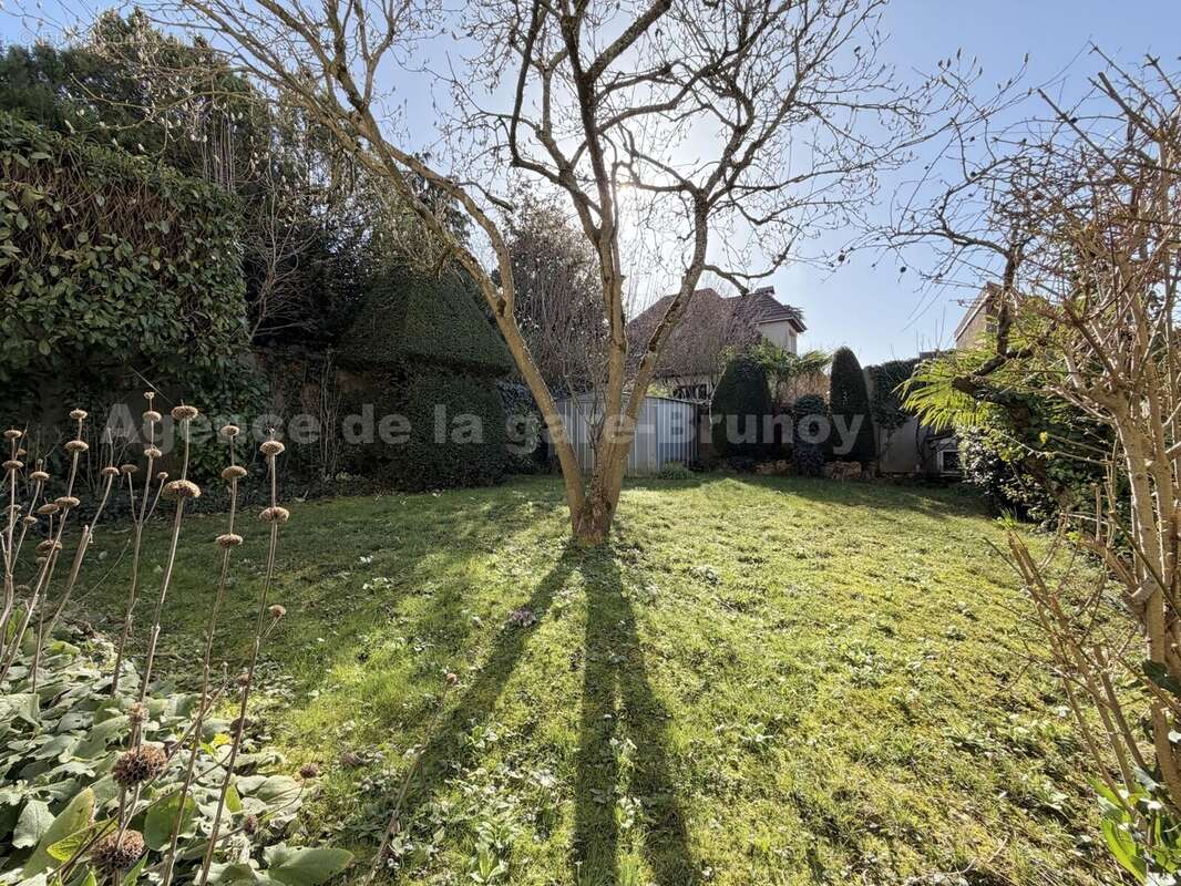 IMG_1574 - Maison à BRUNOY