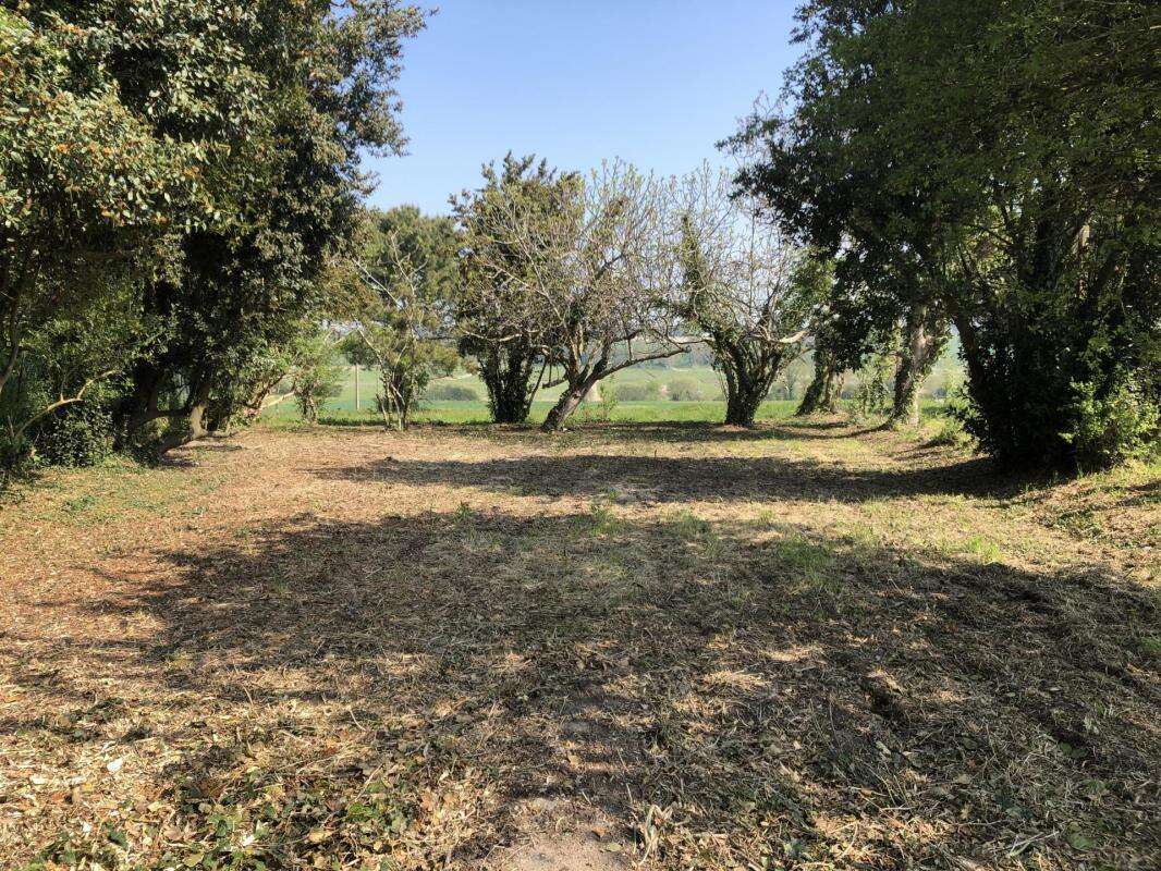 Terrain saint augustin - photo 2