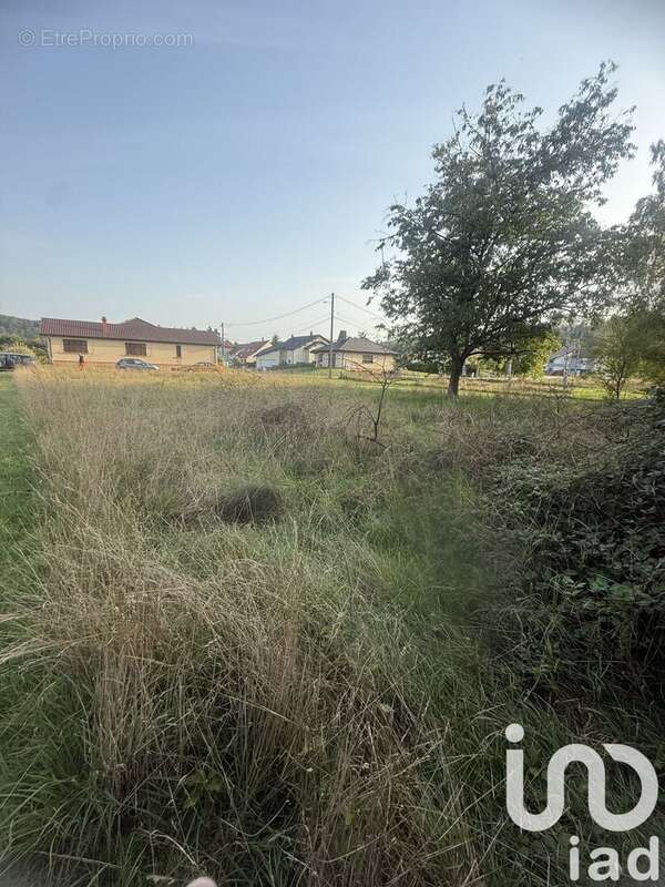 Photo 5 - Terrain à HARGARTEN-AUX-MINES