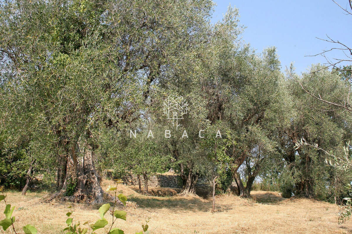 Terrain à LE BAR-SUR-LOUP