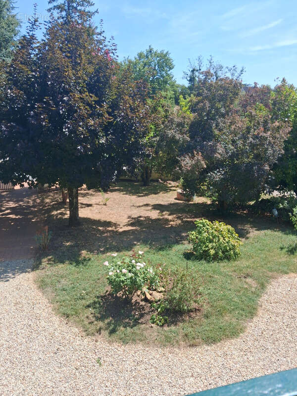 Maison familiale au calme, à seulement 10 minutes du centre-ville de Montrichard - photo 22