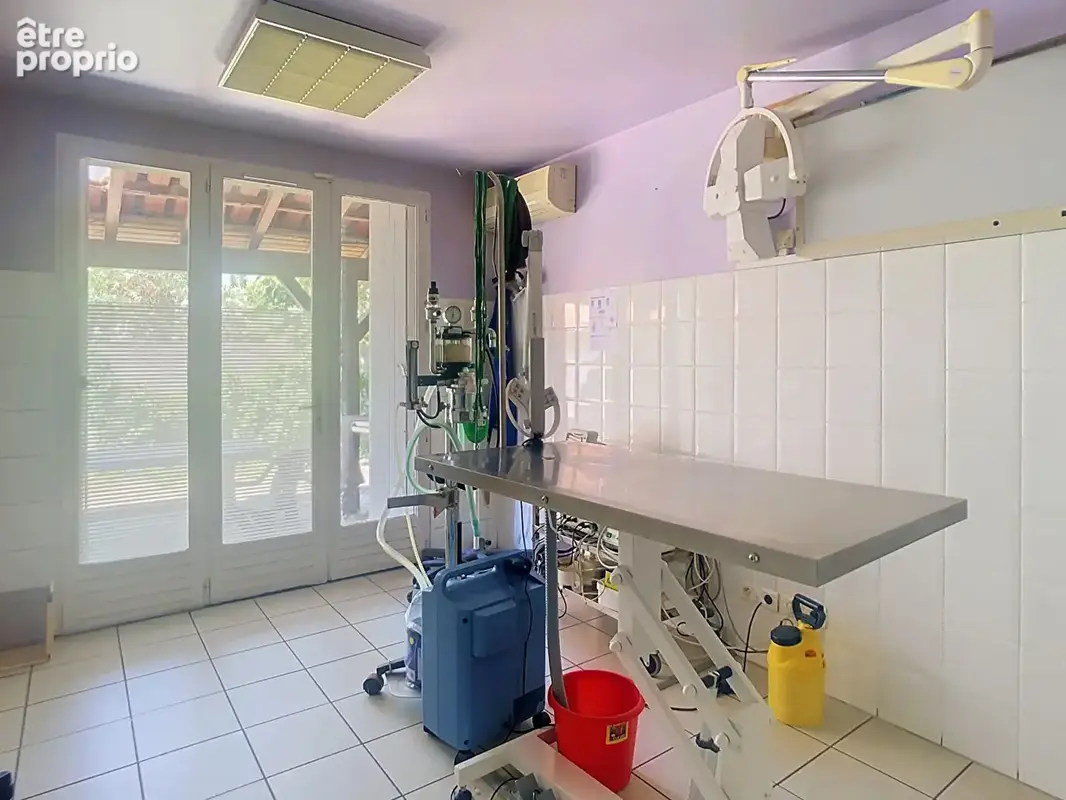 Maison de caractère à usage professionnel, commercial et/ou habitation - photo 5