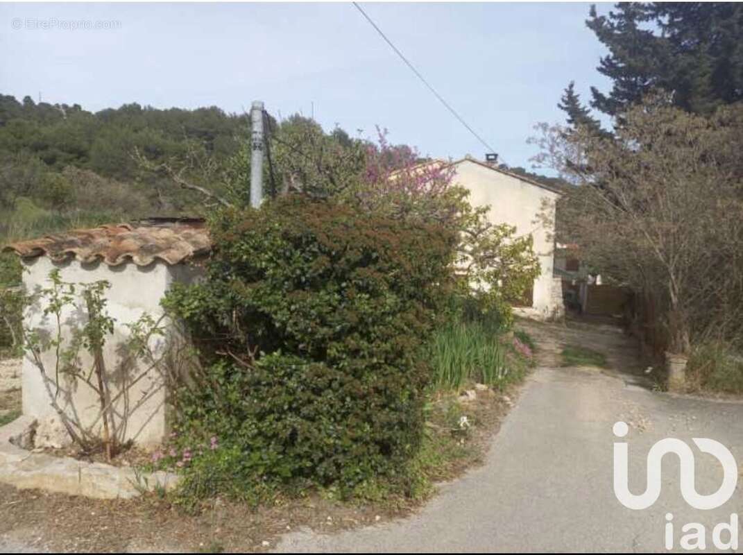 Photo 4 - Maison à LA CADIERE-D&#039;AZUR