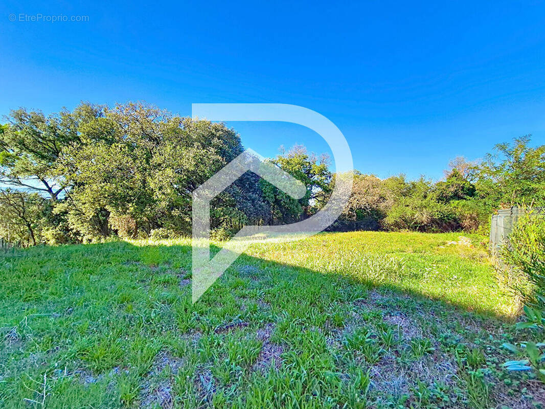 Terrain à MONTELIMAR