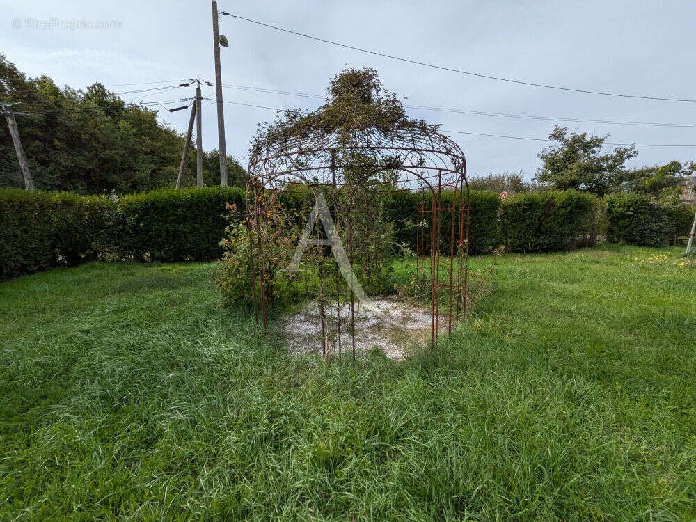 Maison à CHOUZY-SUR-CISSE
