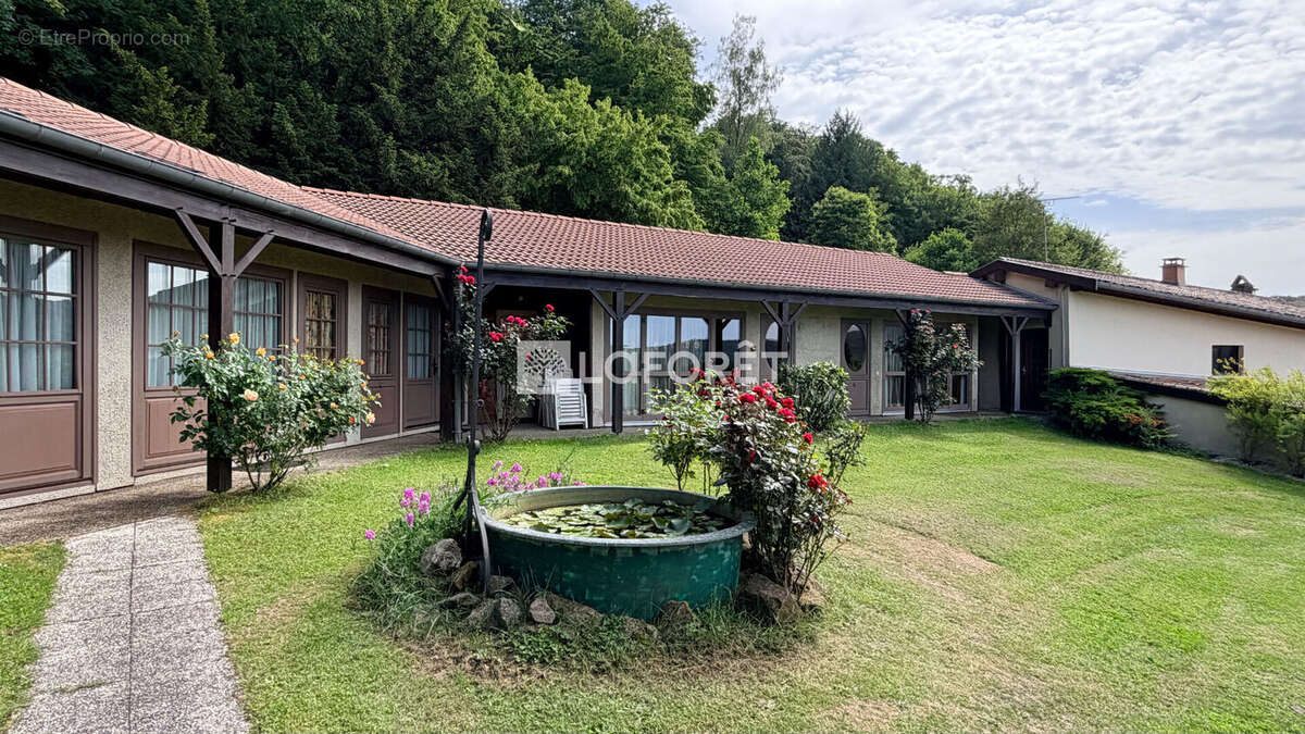 Propriété à FUTEAU - photo 7