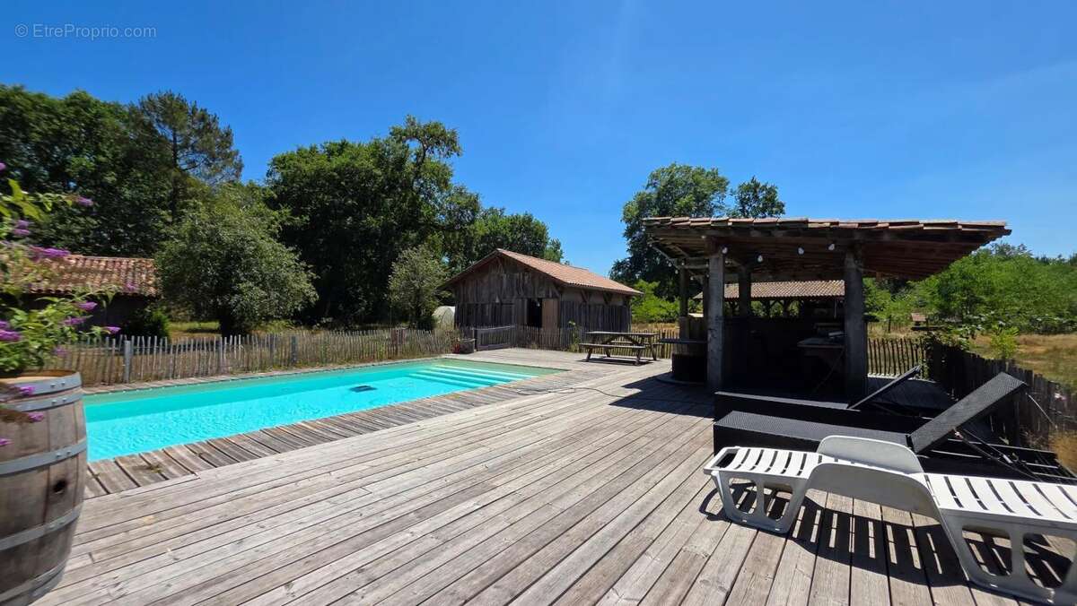 Magnifique et authentique Airial des Landes - photo 41