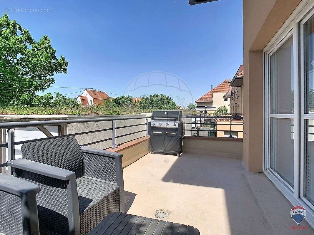 Appartement à ENSISHEIM