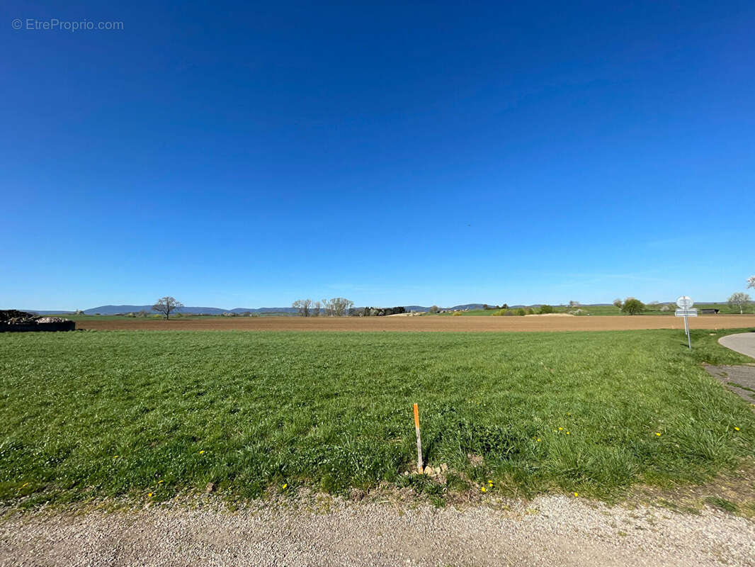 Terrain à KLEINGOEFT