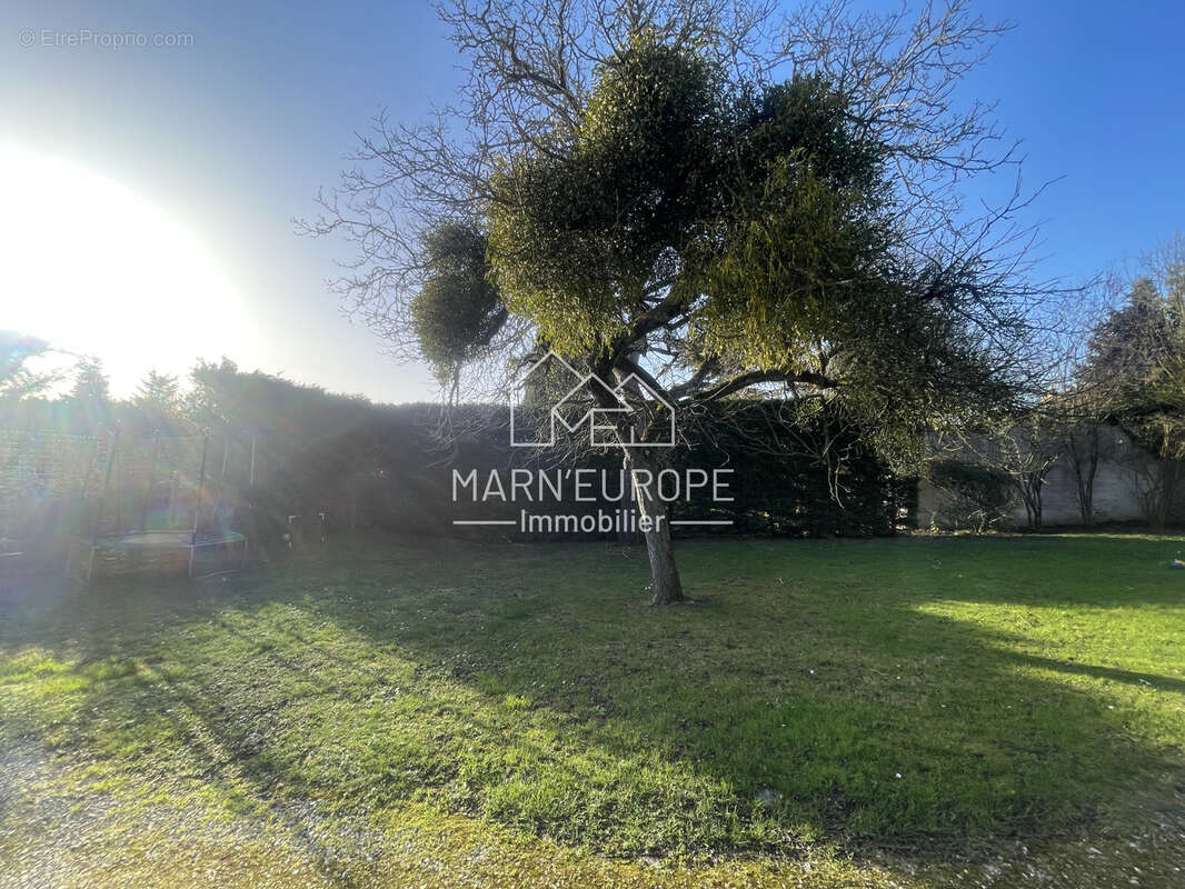 Terrain à CONDE-SAINTE-LIBIAIRE