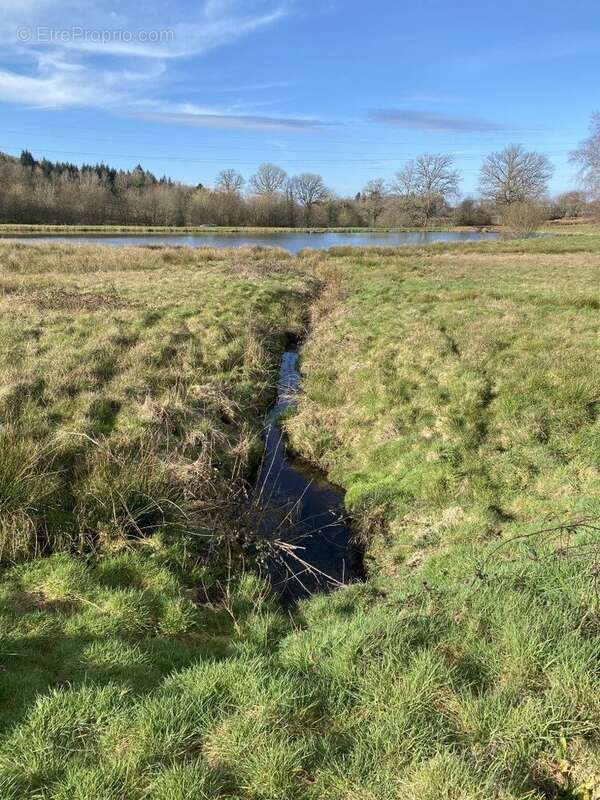 Terrain à NEUVIC-ENTIER