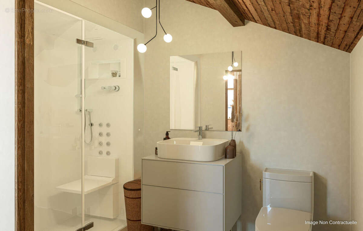 Ski Apartment for sale Chatel (17) - Appartement à CHATEL