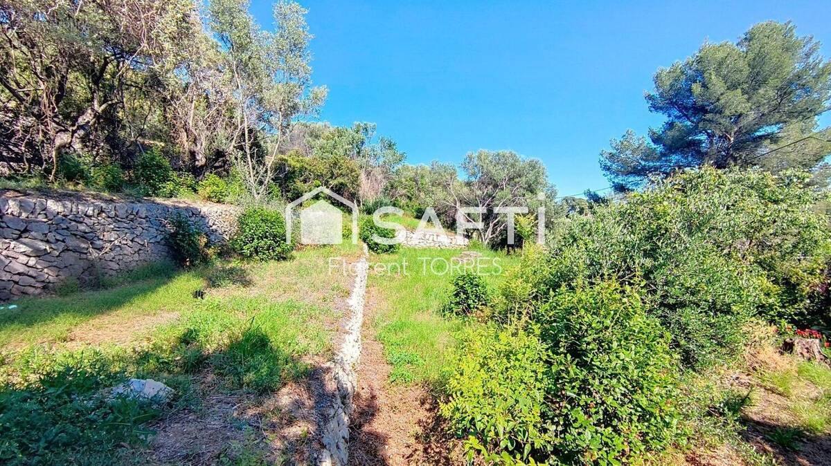 Photo 1 - Terrain à OLLIOULES