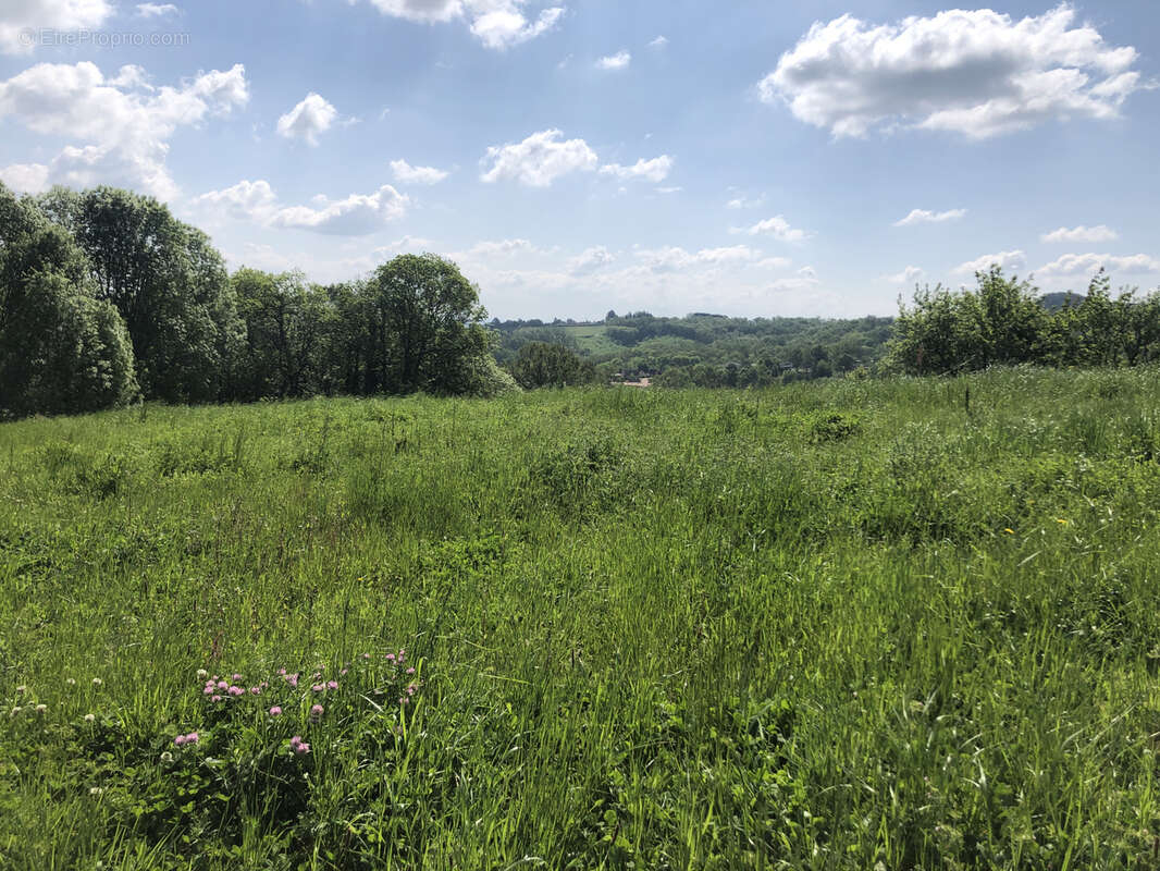 Terrain à SAINT-CYPRIEN