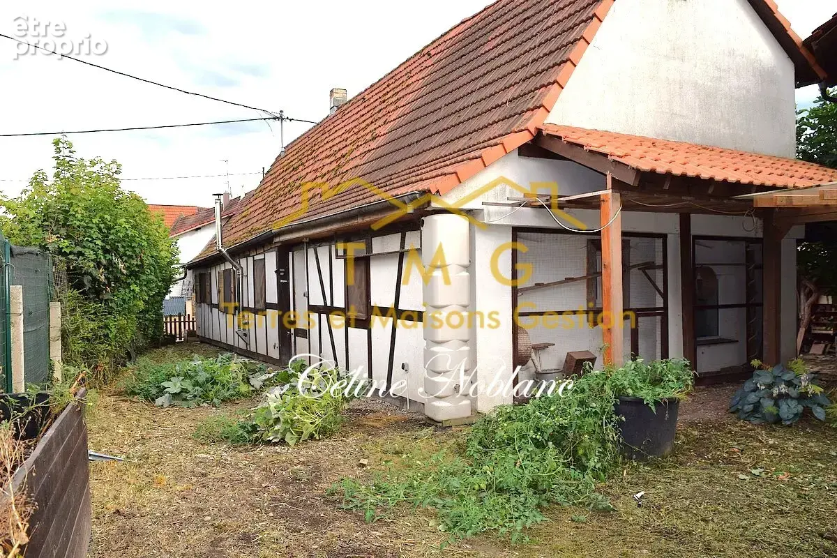 Belle maison Alsacienne avec dépendances - photo 11