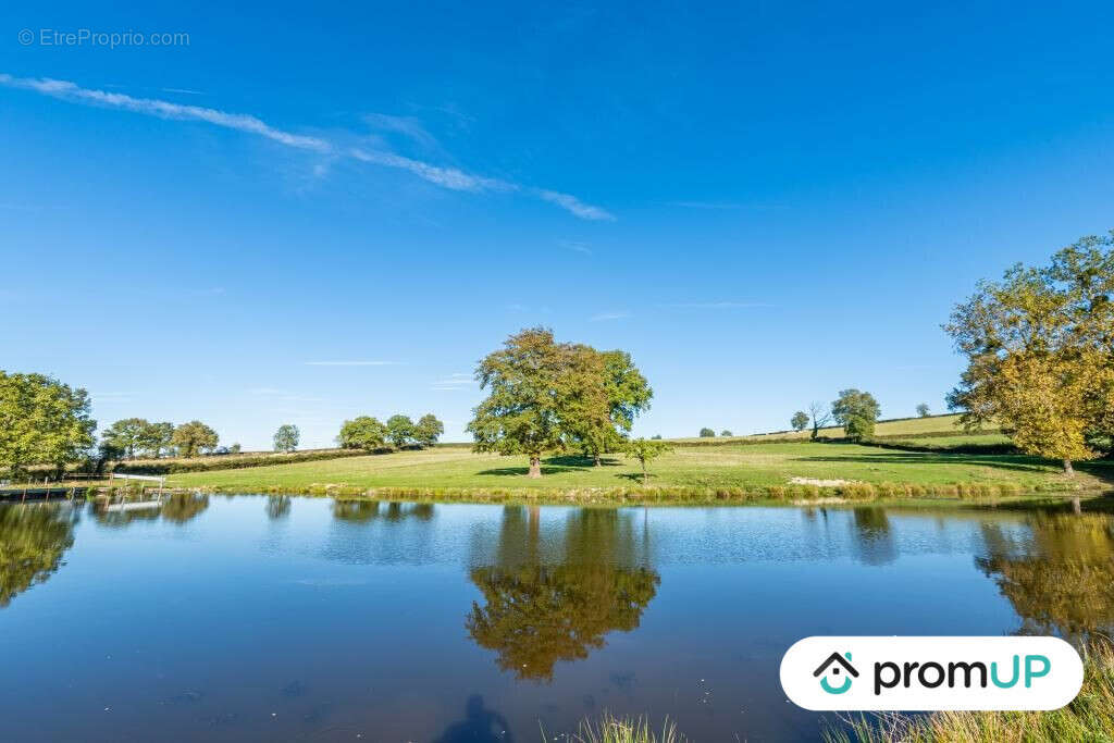 Terrain à SAINT-LAURENT-D'ANDENAY