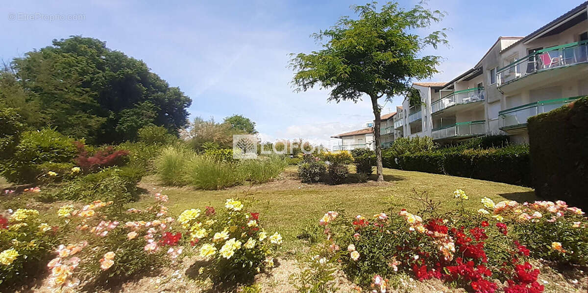 Appartement à SAINT-GEORGES-DE-DIDONNE