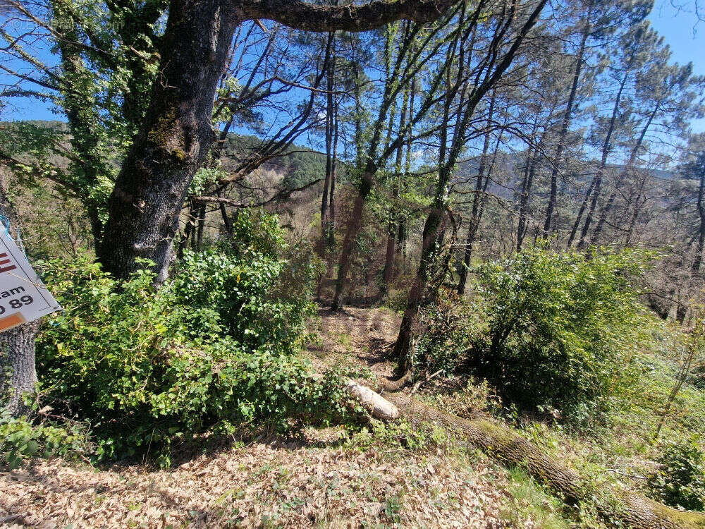 Terrain à PORTES