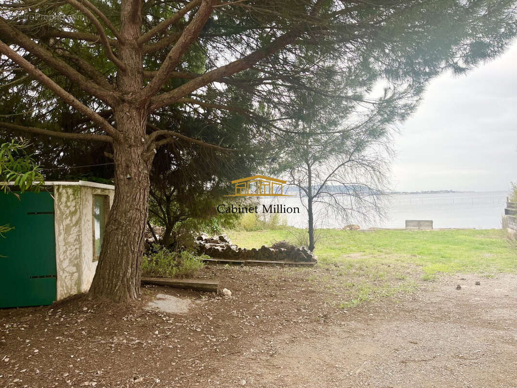 Commerce à BALARUC-LES-BAINS