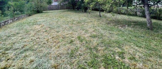 Terrain à MACHEMONT