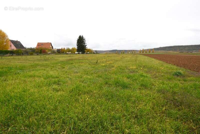 Terrain à ODRATZHEIM