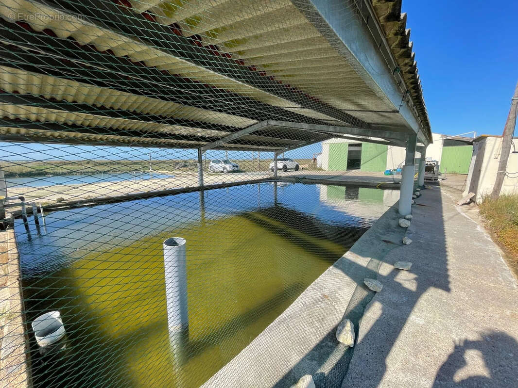 Maison à SAINT-JUST-LUZAC