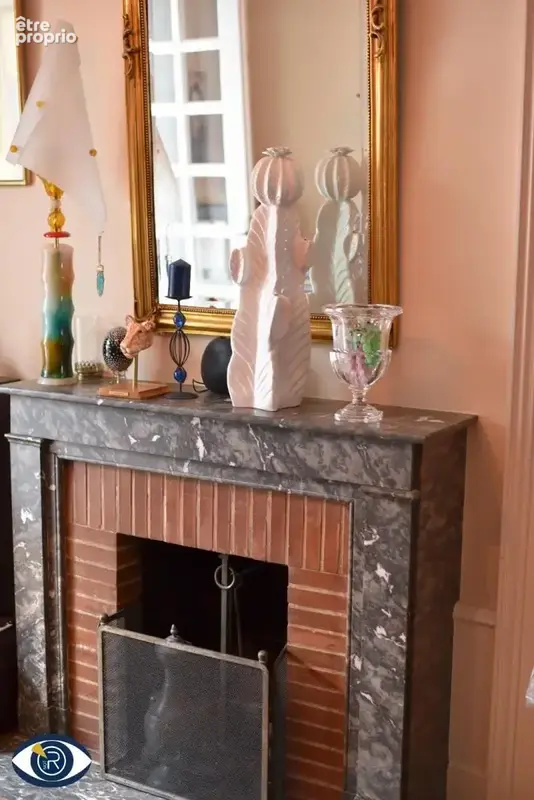 Maison 295 m² à Laval  - photo 6