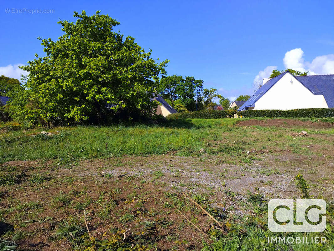 Terrain à CONCARNEAU