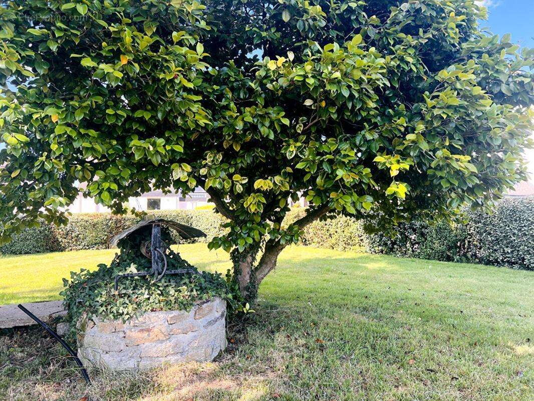 Maison Reguiny - photo 16