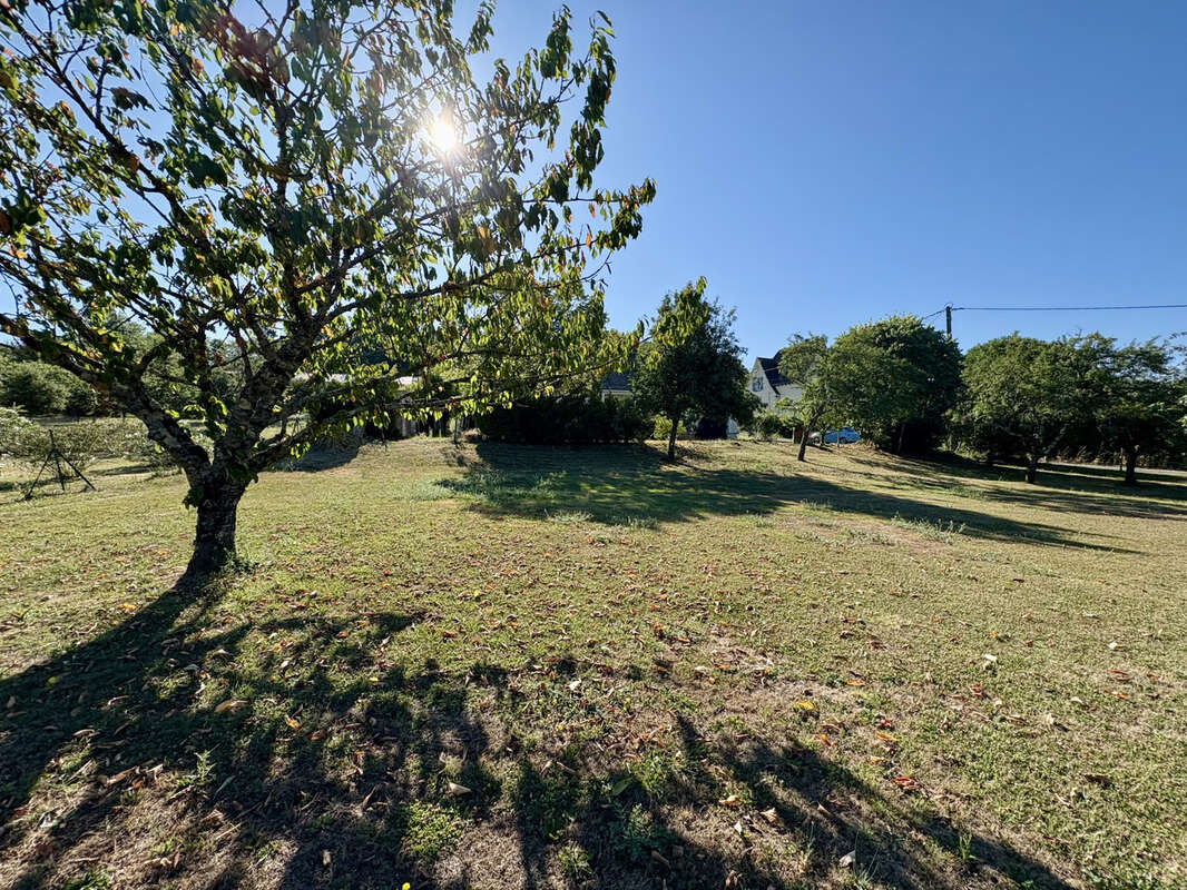 Maison à TERRASSON-LAVILLEDIEU