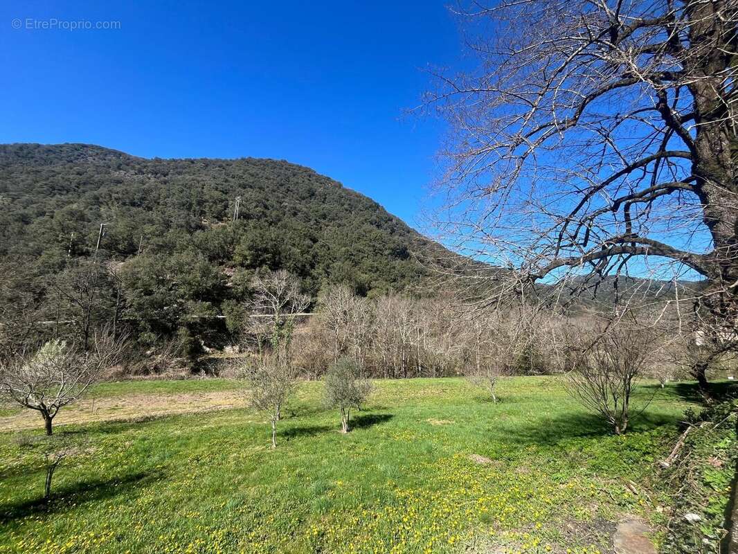 Photo 5 - Maison à SAINT-JEAN-DU-GARD