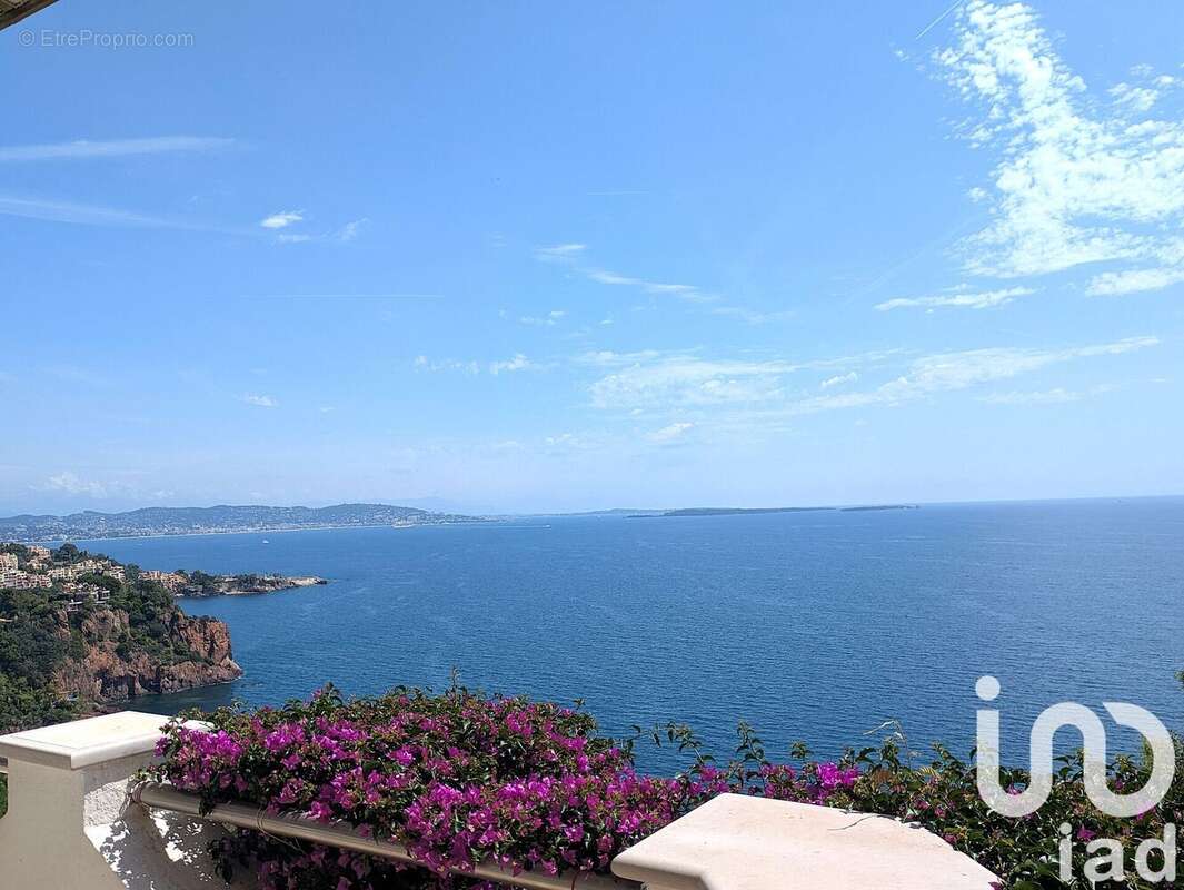 Photo 8 - Appartement à THEOULE-SUR-MER