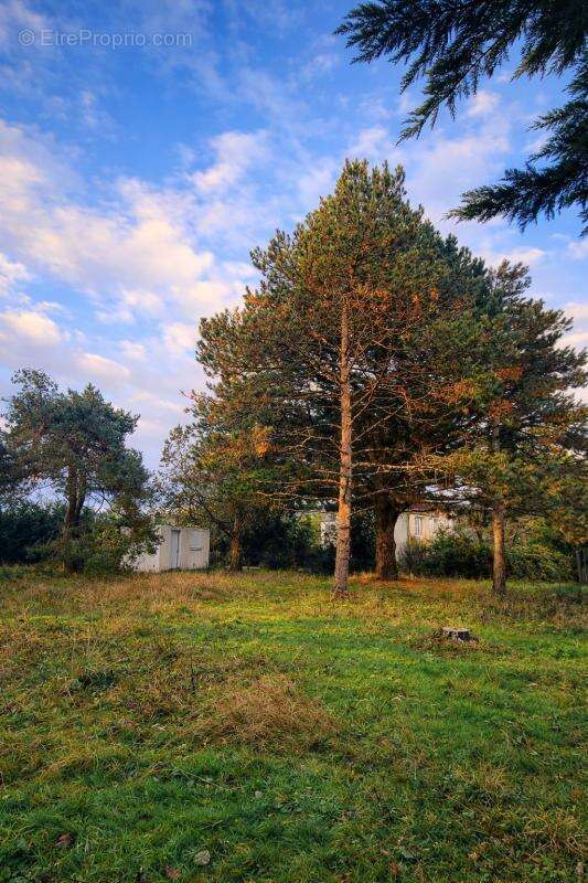 Photo 2 - Terrain à LA BAULE-ESCOUBLAC