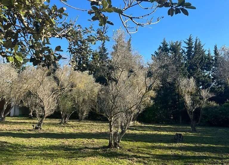 Maison à FONTVIEILLE