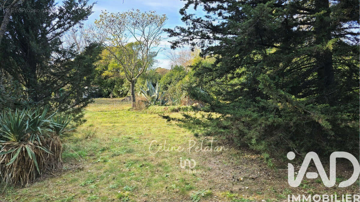 Photo 7 - Terrain à AUBAIS