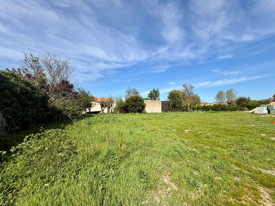 Terrain à SAINT-CHRISTOPHE-DU-LIGNERON