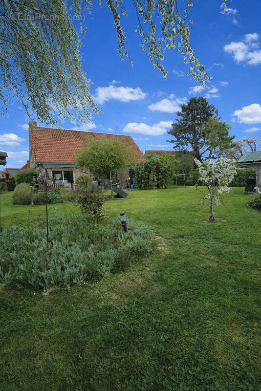 Maison à VIEUX-BERQUIN