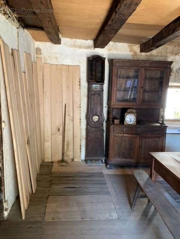 Maison à VIEILLEVIE