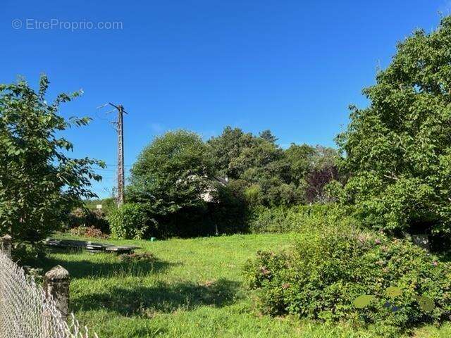 Terrain à TREIGNAC