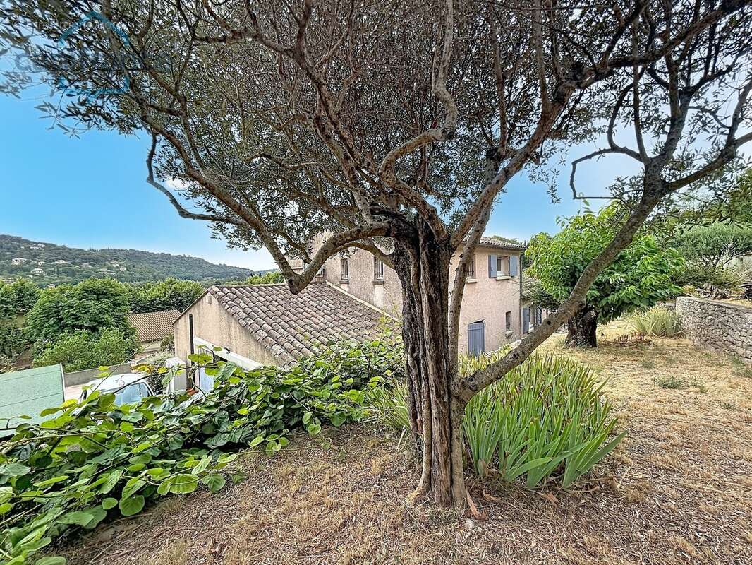 Maison à vendre 5 pièces ANDUZE (30) terrain environ 865 m2 et piscine - photo 5